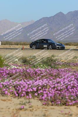 media/Jan-29-2023-PCA San Diego (Sun) [[aa0301ccc2]]/Yellow Group/Session 1 (Turn 15 Bloom)/